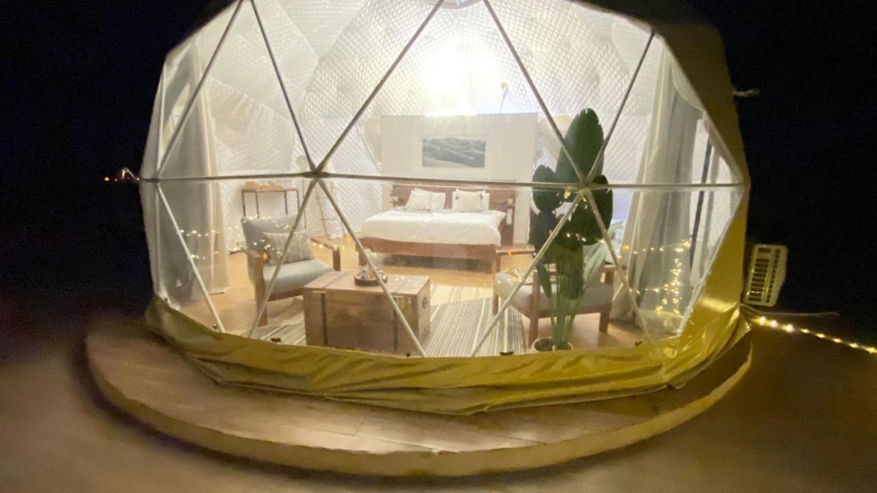 Desert Star Camp 와디럼 외부 사진