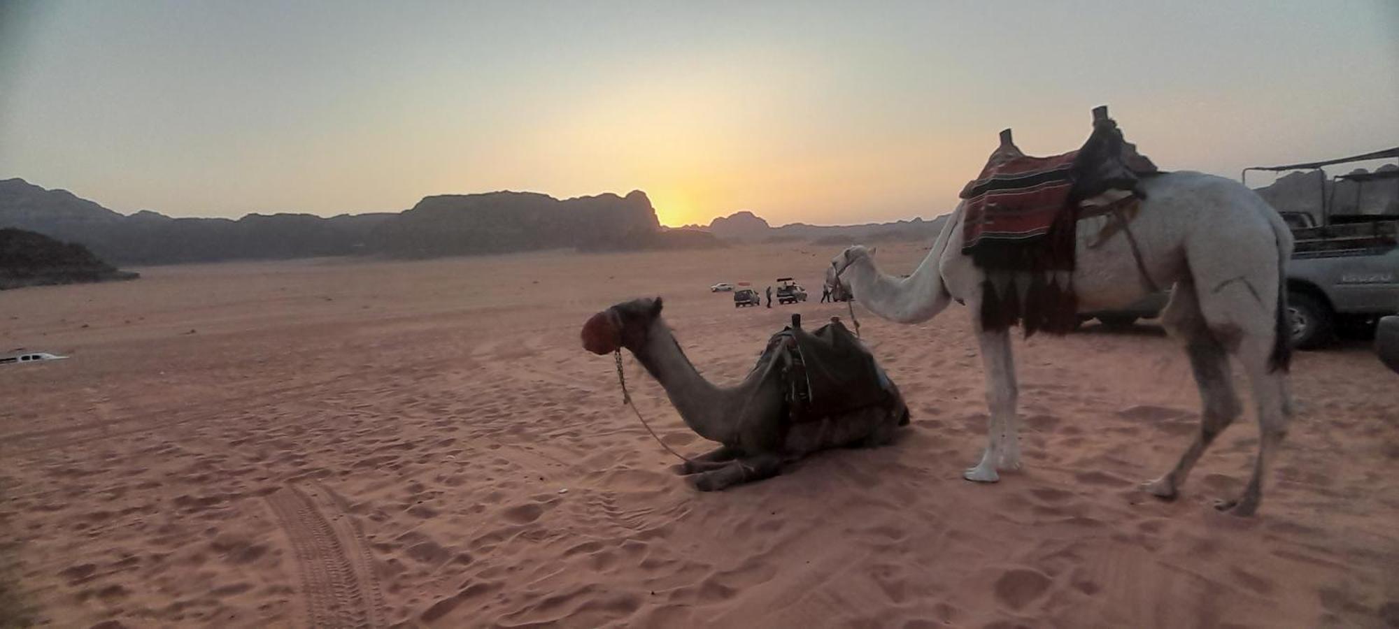 Desert Star Camp 와디럼 외부 사진